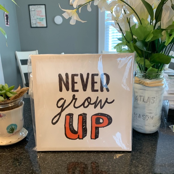 Other - NEVER GROW UP canvas wall art